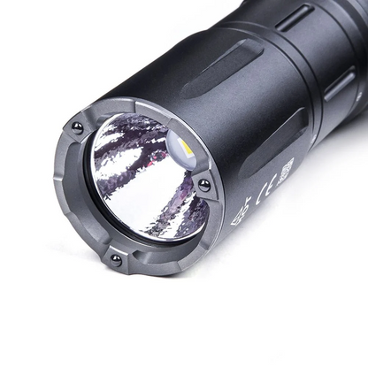 Artorch
