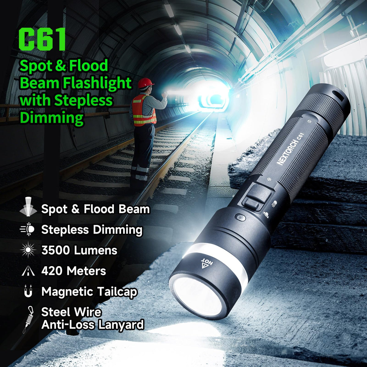 C61